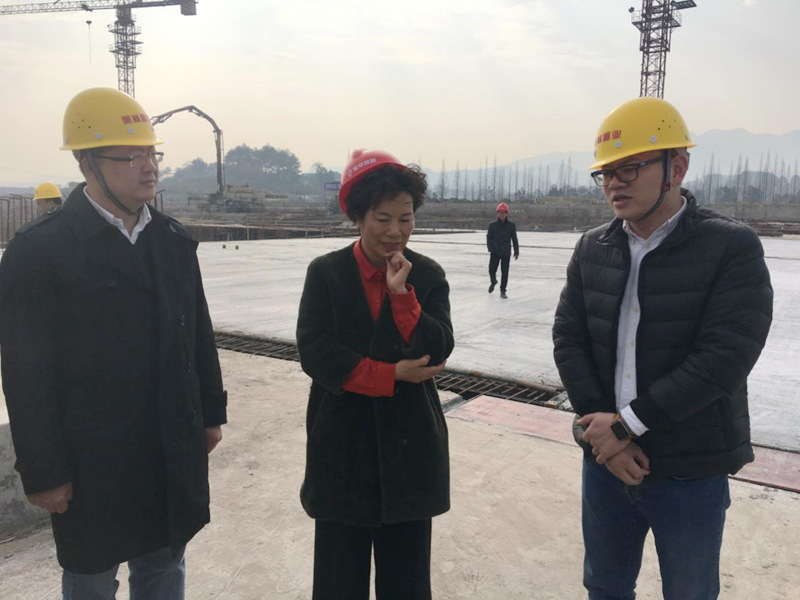 麗水市委常委、宣傳部長任淑女調研松陽美林&middot;南城壹號項目