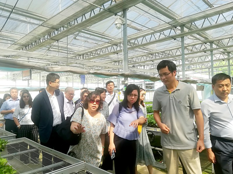 1559291776754994.jpg 95dfe09762307369aac47084f1f04cb_副本.jpg