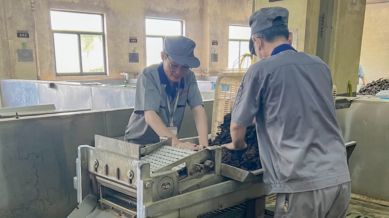 【匠心浙農】中藥生產的排頭兵&mdash;&mdash;景岳堂員工汪濤八年三崗專注中藥工藝攻堅