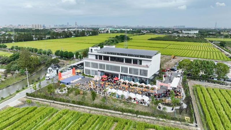 海寧馬橋服務(wù)中心舉行2024嘉興&mdash;海寧&middot;中國農(nóng)民豐收節(jié)系列活動